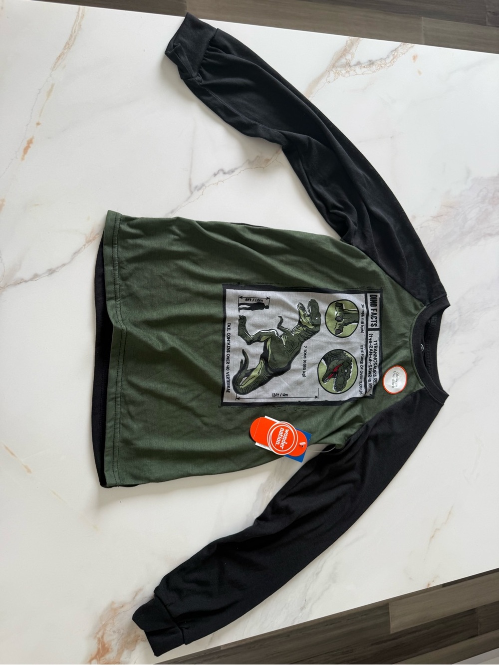 wonder nation Green and Black T-Rex Graphic Long Sleeve Tee